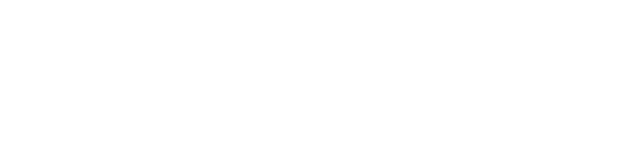 Ann W. Elliott Logo White